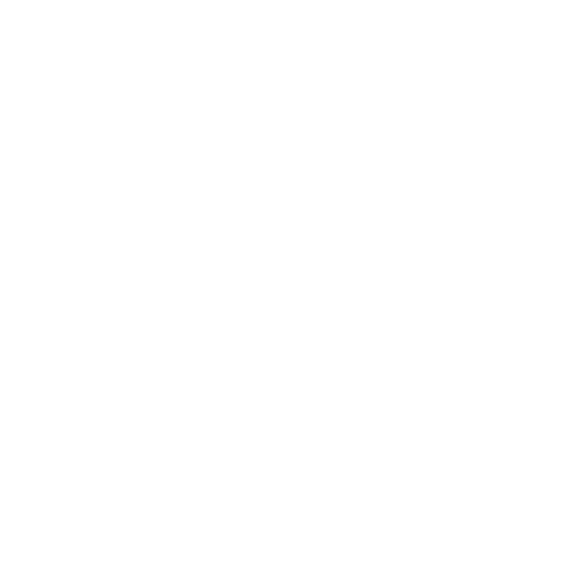 Rss Icon